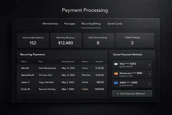 Payment Processing interface preview